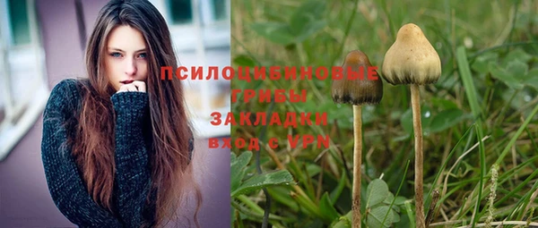 индика Белоозёрский