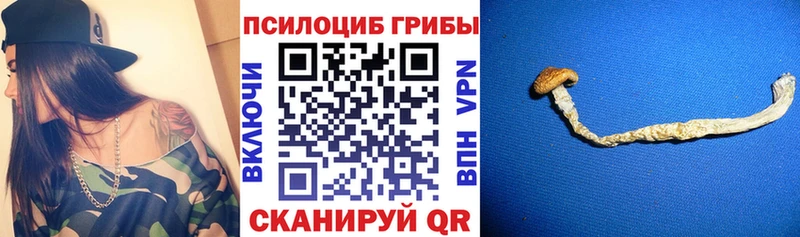 мега tor  Октябрьский  Псилоцибиновые грибы мицелий  где купить  